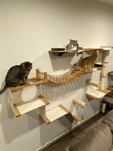 We Put Up A New Hangout For The Cats I Think They Like It Raww