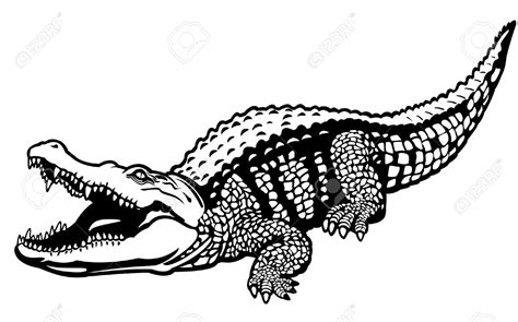 Realistic Animal Clipart Black And White Vector Clipground