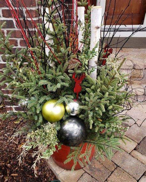 Holiday Container Garden Garden Containers Container Gardening Winter