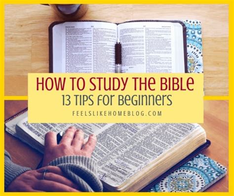 How To Bible Study For Beginners Churchgistscom