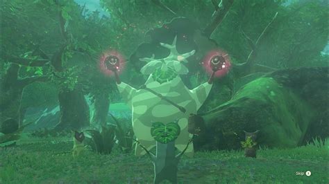 The Legend Of Zelda Tears Of The Kingdom Korok Forest Hestus Third