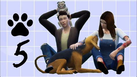 Sims 4 Cats And Dogs Recolor Bdakarma