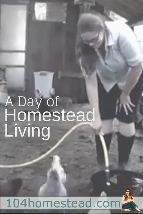 A Day Of Homestead Living