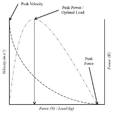 Relationship Between Force Velocity Force Power And Optimal Load