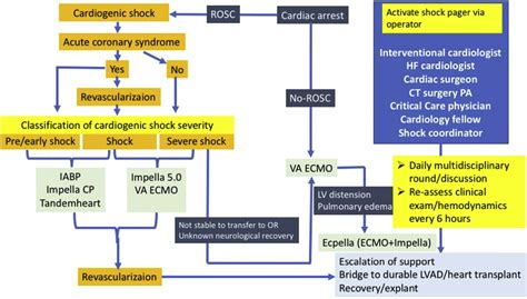 A Targeted Management Approach To Cardiogenic Shock Critical Care Clinics