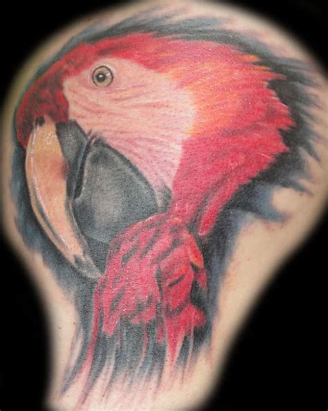 Macaw Tattoo Parrot Tattoo Birds Tattoo Picture Tattoos