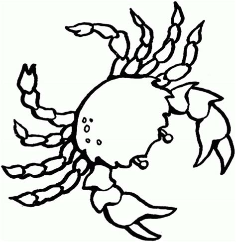 Free Realistic Sea Crab Sea Animals Coloring Page