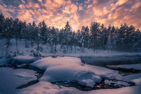 Winter Forest Snow Trees River Norway The Snow Ringerike Hd