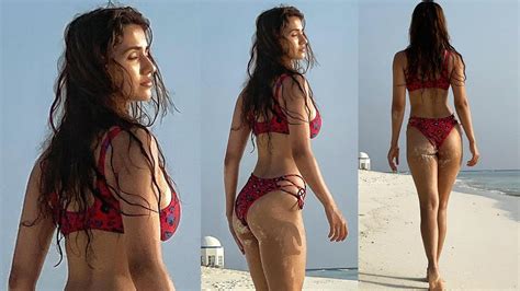 100 Sexiest Disha Patani Bikini Pics Ranked For You Baggout