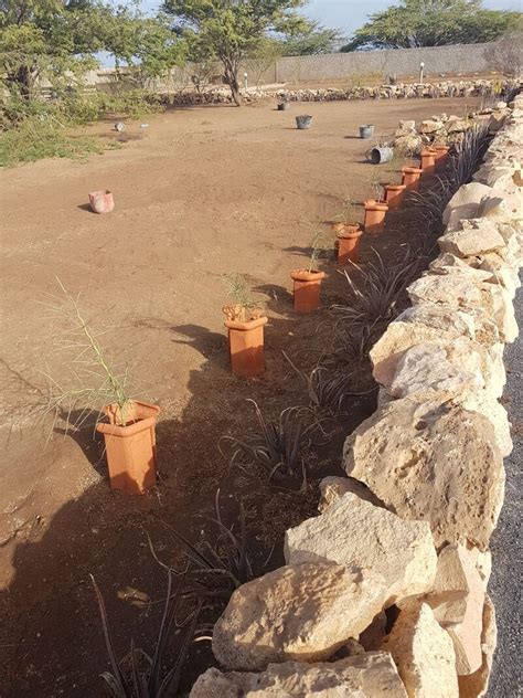 This list covers some of the largest onshore and offshore wind farms operating across the the buffalo gap wind farm is the tenth largest wind farm in the world located in texas. Praia to Maio | Tema Frank