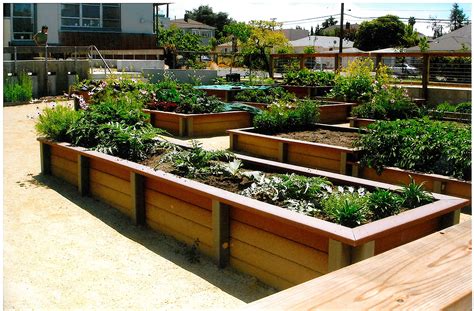 Raised Bed Garden Box Ideas Garden Design