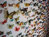 Pictures of Butterfly Installation Art