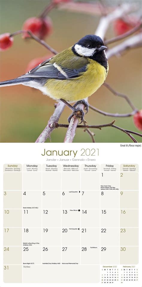 Garden Birds Calendar Animal Calendars Pet Prints Inc