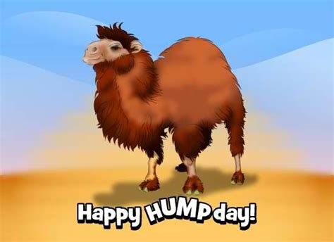 Happy Humpday Pictures Photos And Images For Facebook