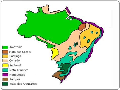 O Bioma Brasileiro Retratado Na Canção é Caracterizado Principalmente Por