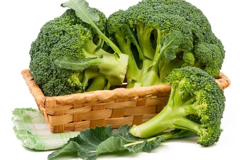 Picking Your Broccoli Top Harvesting Tips