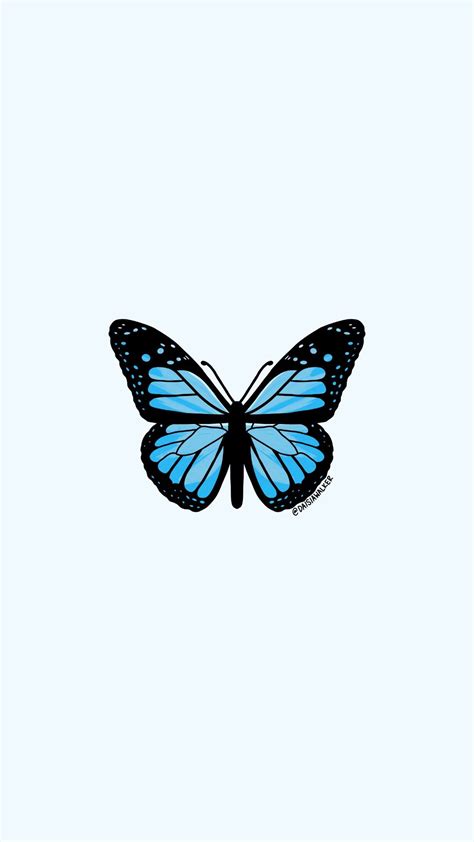 Cute Sky Blue Butterfly Wallpaper Download Free Mock Up