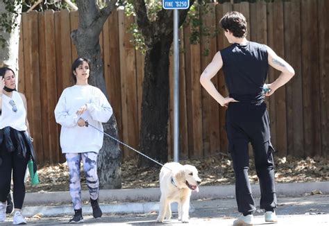 Camila cabello and shawn mendes's relationship: Shawn Mendes został okradziony! Włamywacze ukradli jego ...