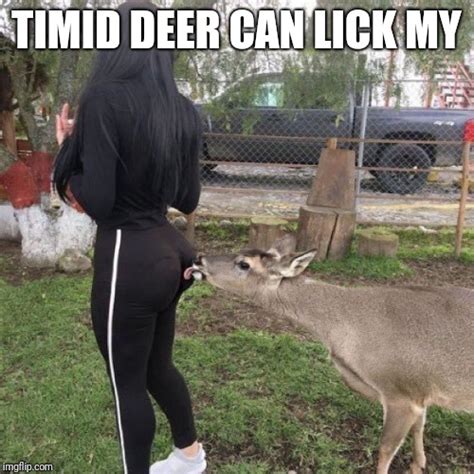 In Honor Of Our Deer Timids First Anniversary Of Meming Lets Shower Her With Up Votes