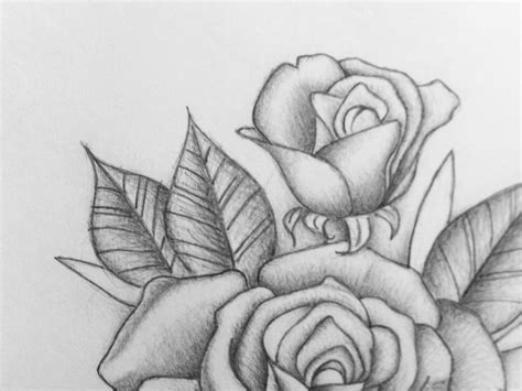 Rose Flower Pencil Sketch Images Rose Flower Pencil Drawing Bodaswasuas