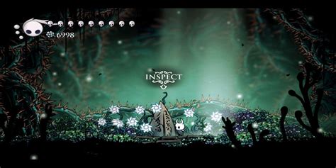 Hollow Knight How To Complete The Delicate Flower Quest