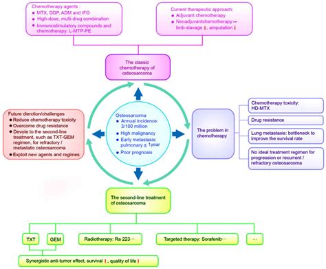 Progress In The Chemotherapeutic Treatment Of Osteosarcoma Review