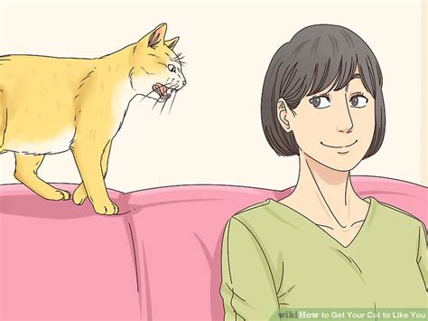 See full list on wikihow.com How to Get Your Cat to Like You: 13 Steps (with Pictures)