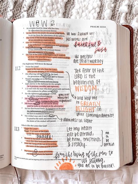 7 Easy Steps To Bible Study For Beginners Artofit