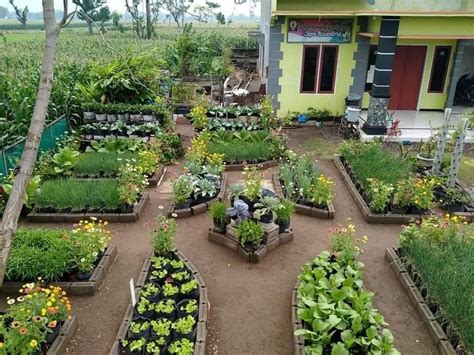 Dijual kebun sekalian rumah di pinggir jalan raya di kecamatan plantungan, kabupaten kendal, jawa tengah. Kreatif , 18 Gambar Model Kebun Sayuran di Pekarangan Rumah