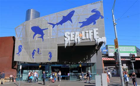 Melbourne Sea Life Aquarium And Legoland Tickets