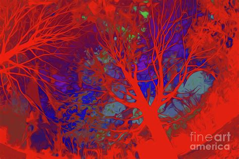 Tree Branches 104 Digital Art By Chris Taggart Pixels