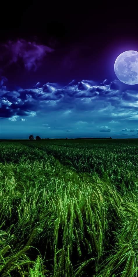 Download 1080x2160 Wallpaper Grass Field Moon Landscape Night