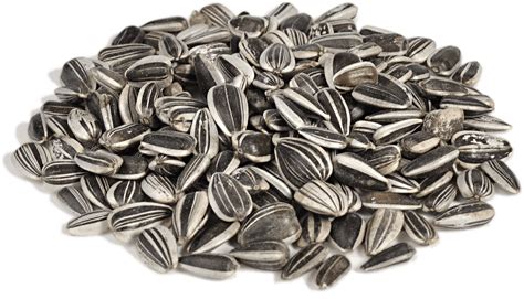 Sunflower Seeds Png Image For Free Download