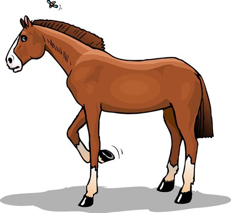 Horse Cartoon Picture