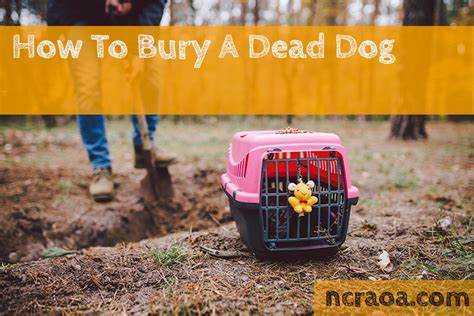 How To Bury A Dog Thats Died National Canine Research Association Of