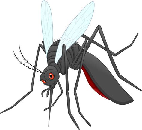 Gnat Bugs Cartoon Illustrations Royalty Free Vector Graphics And Clip