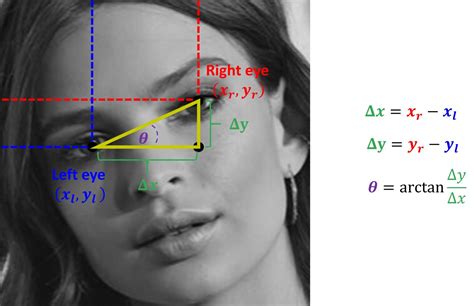 Face Alignment Algorithm Tran Van Huy Computer Vision