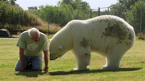 Bbc One Animal Odd Couples Episode 2 Mark And Agee The Polar Bear