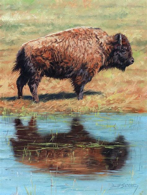 Bison 3 Painting By David Stribbling Pixels