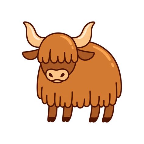 Yak Illustrations Royalty Free Vector Graphics And Clip Art Istock