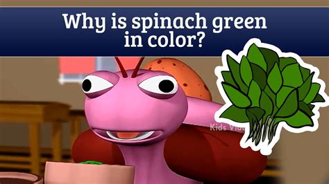 Why Is Spinach Green In Color Spinach Benefits