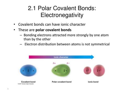 Ppt 21 Polar Covalent Bonds Electronegativity Powerpoint