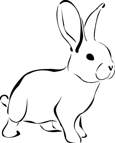 Rabbit Outline Clipart Free Download Transparent Png Creazilla