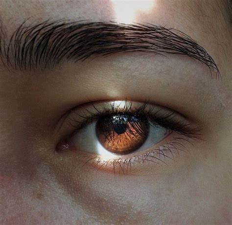 Image About Eyes In Hufflepuff Aesthetics🌼 By Janesobol Beautiful Eyes