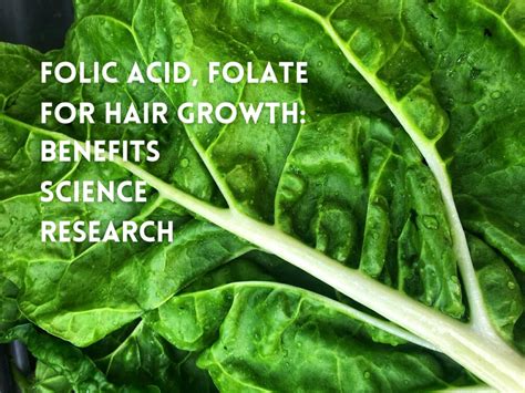 Discover More Than Folic Acid Benefits For Hair Best In Eteachers
