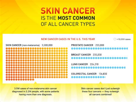 Skin Cancer Introduction Statistics And Types Of Skin