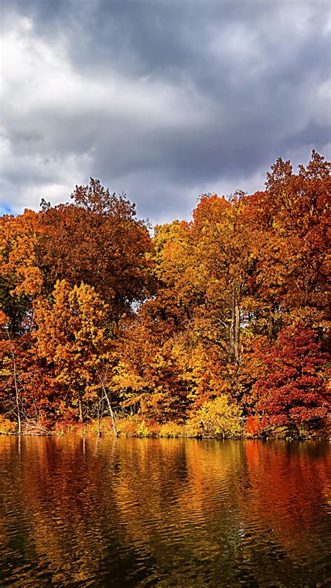 Wallpaper Autumn Forest Lake 5k Nature 15480