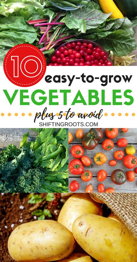 Vegetables With Text Overlay That Reads 10 Easy To Grow Vegetables Plus