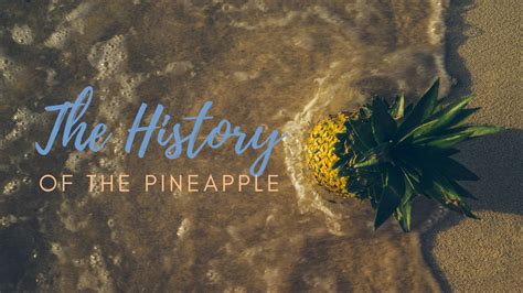 The History Of The Pineapple