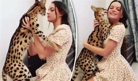 Brunette Babe Hugs African Serval Wild Cat In Viral Video Travel News